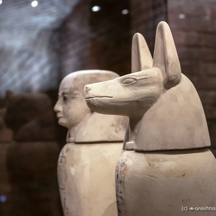 Neues Museum Kopf des Anubis